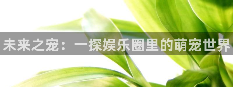 韦德1946安卓二维码