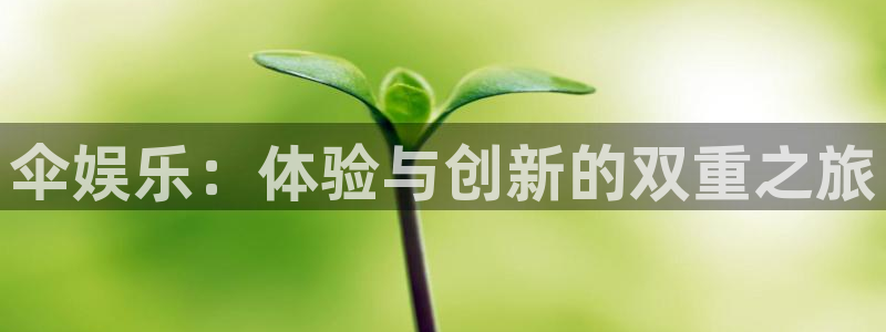 韦德1946官网最新版