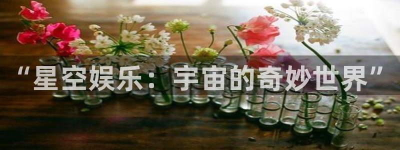 韦德1946官网