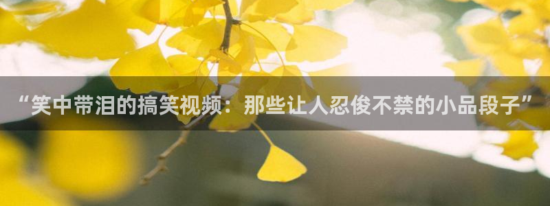 韦德1946最新网站